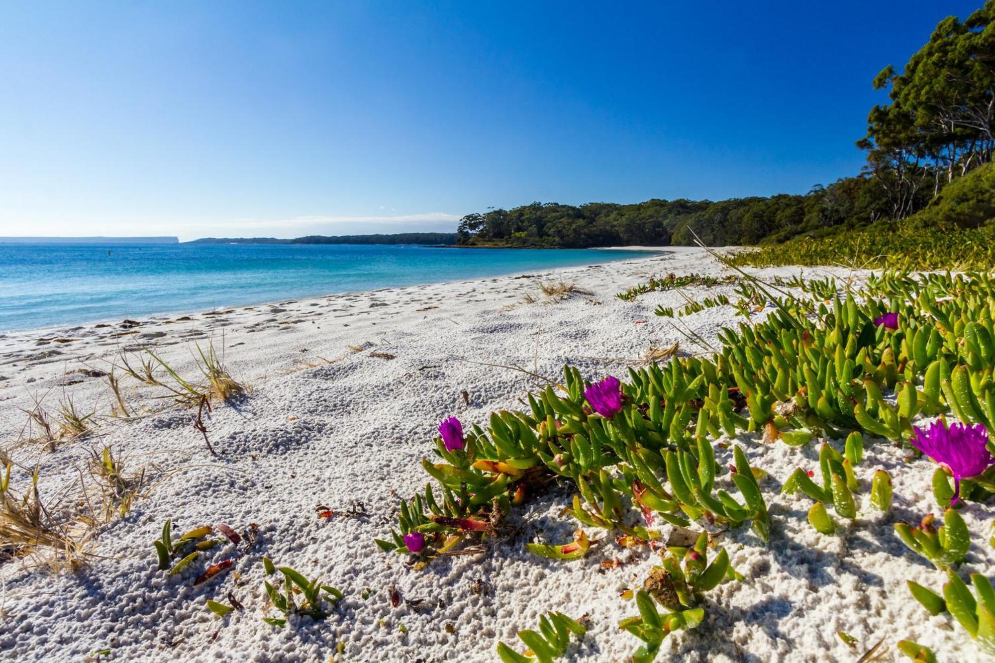 فيلا Bay And Bush Jervis Bay هاسكيسون المظهر الخارجي الصورة