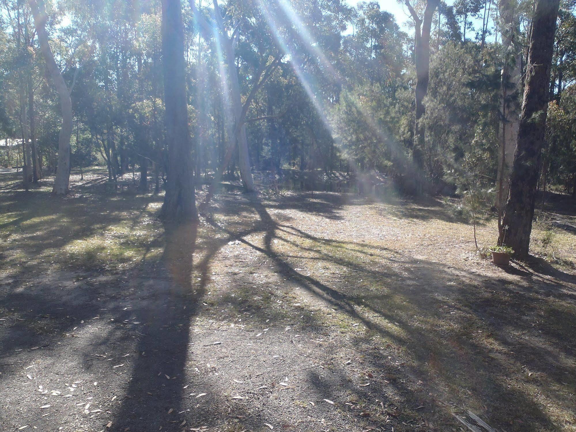 فيلا Bay And Bush Jervis Bay هاسكيسون المظهر الخارجي الصورة
